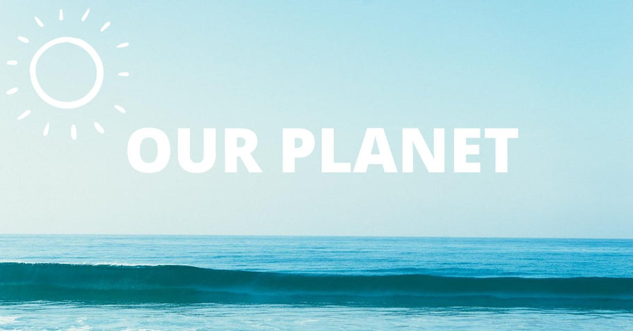Our Planet - Global Warming and What We Can Be Doing to Help